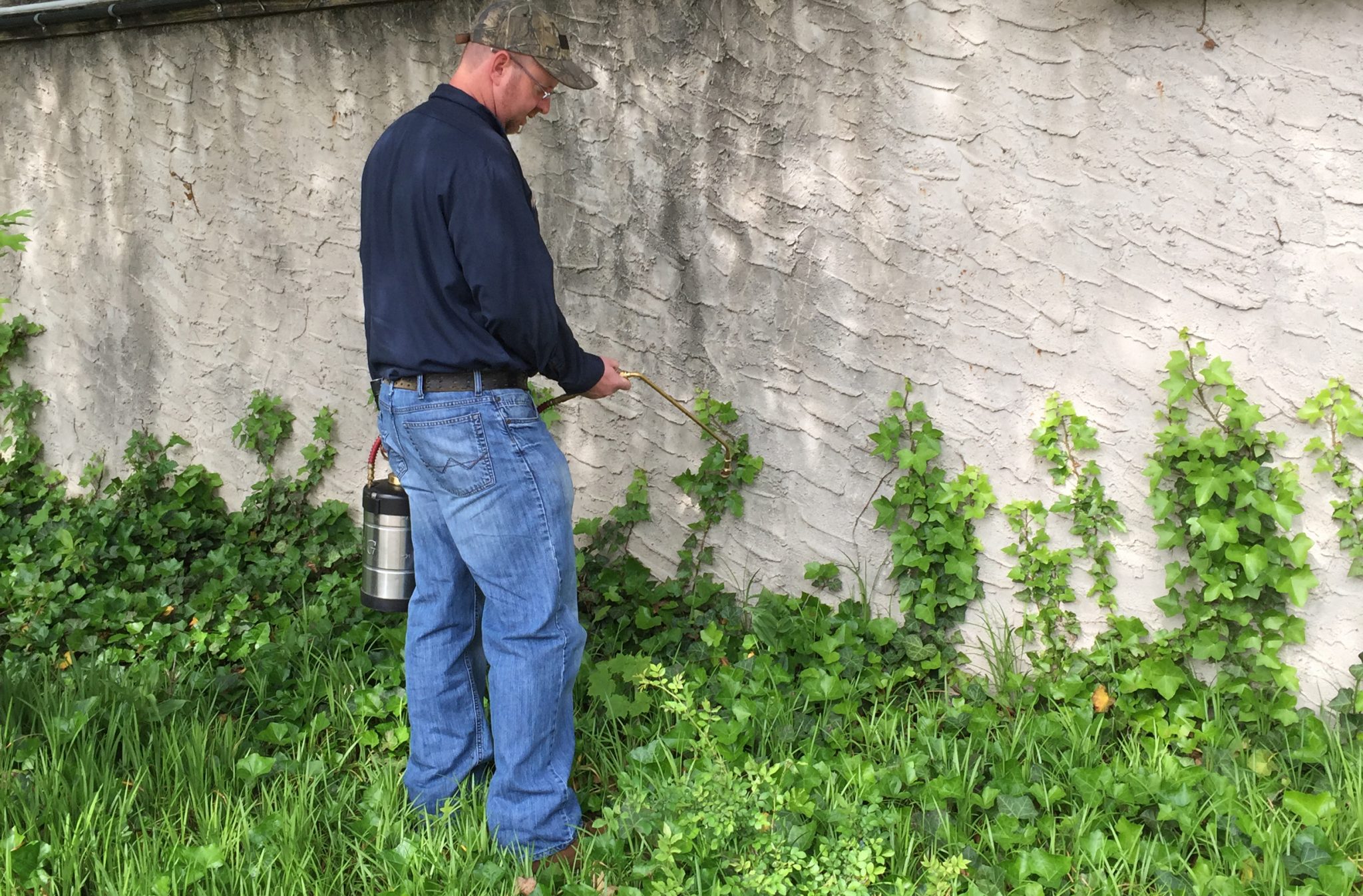 an exterminator is spraying insecticides on yard